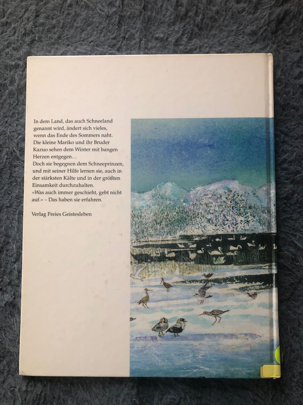 Libri: Bilderbuch; Der Prinz vom Schneeland – Usato da Hinwil venduto da dadalina76 1