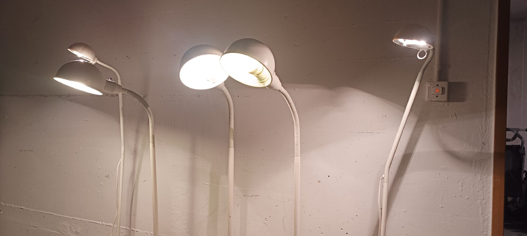 Lampade: Antik Lampen 5 stück  – Usato da Pfäffikon ZH venduto da K-V-M 3