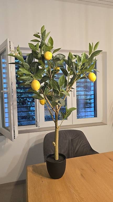 Plantes & graines: Zitronenbaum Kunstpflanze ca 100 cm – D'occasion à Bazenheid par Exo_Tic 2