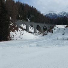 Profile image of burkhard87