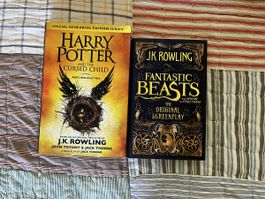 Fantastic Beasts + Harry Potter & the cursed child
