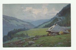 Alte Ansichtskarte Schwarzwald gelaufen 1919 Schweiz