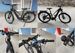 Damen E-Bike Hoheacht Pasia Tereno RH42 Vulkanschiefer 625Wh