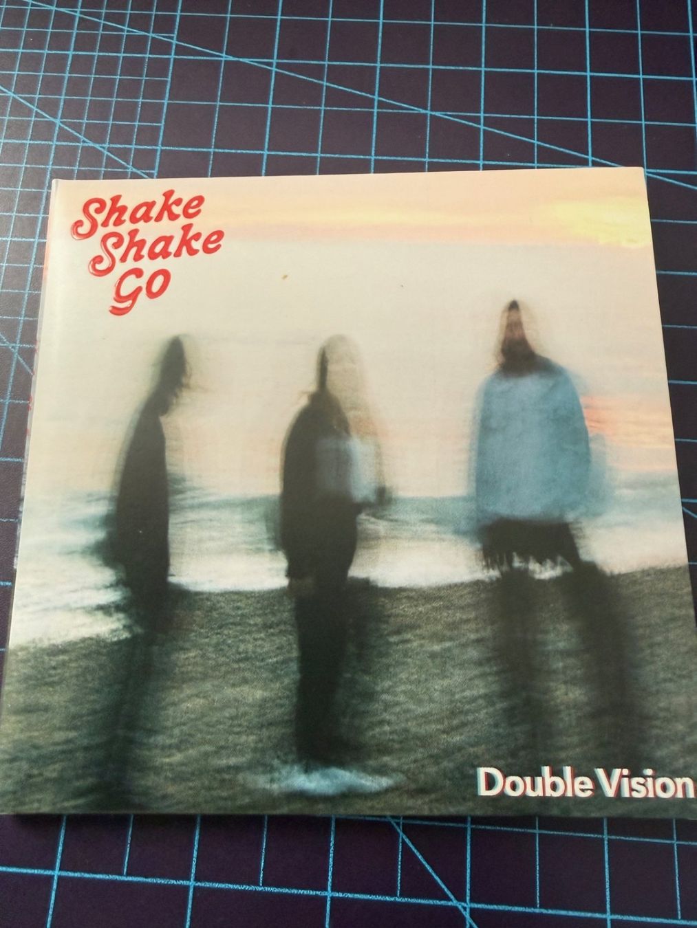 CD: Shake Shake Go – Usato da Clarens venduto da Surcouf91