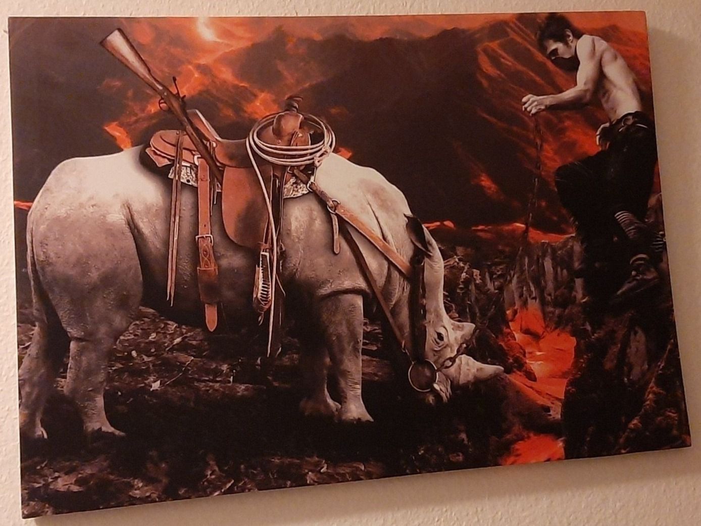 Poster & Bilder: LED Kunst BILD Nashorn und Mann 3D – Neu und originalverpackt aus Kilchberg ZH von ruedi34 4