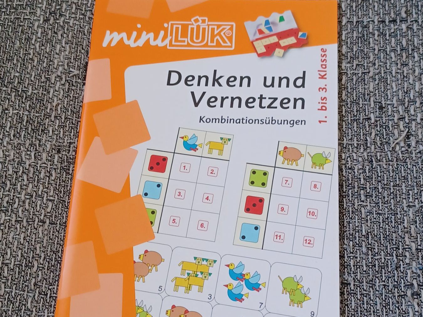 Libri: MiniLÜK Lernhefte Vorschule – Usato da Muhen venduto da sar_tb6l 3