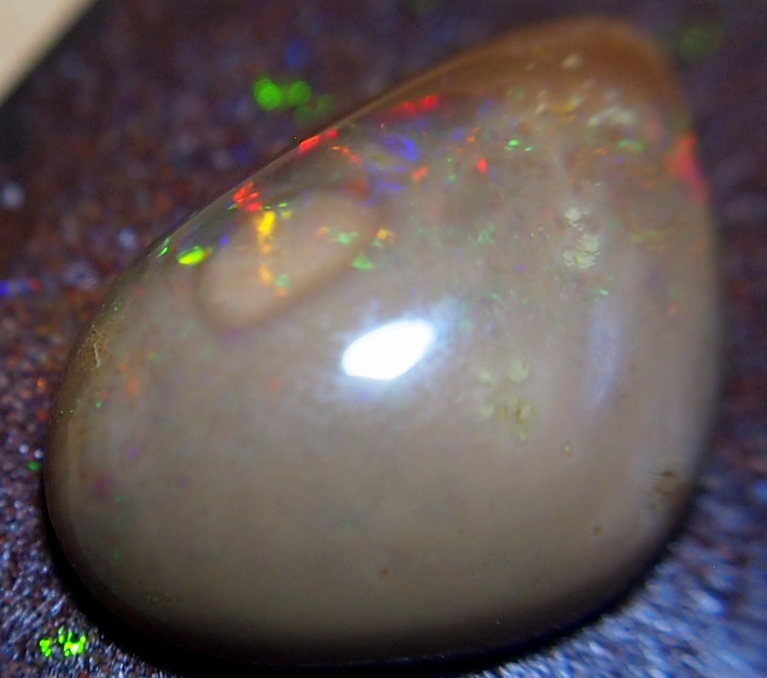 Pietre preziose: Faszinierender Opal aus Mexico – Nuovo e nell'imballaggio originale da Reinach BL venduto da rumablum 7