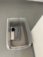 Pet Safe Scoop Free inkl. fixem Mehrweg Boden