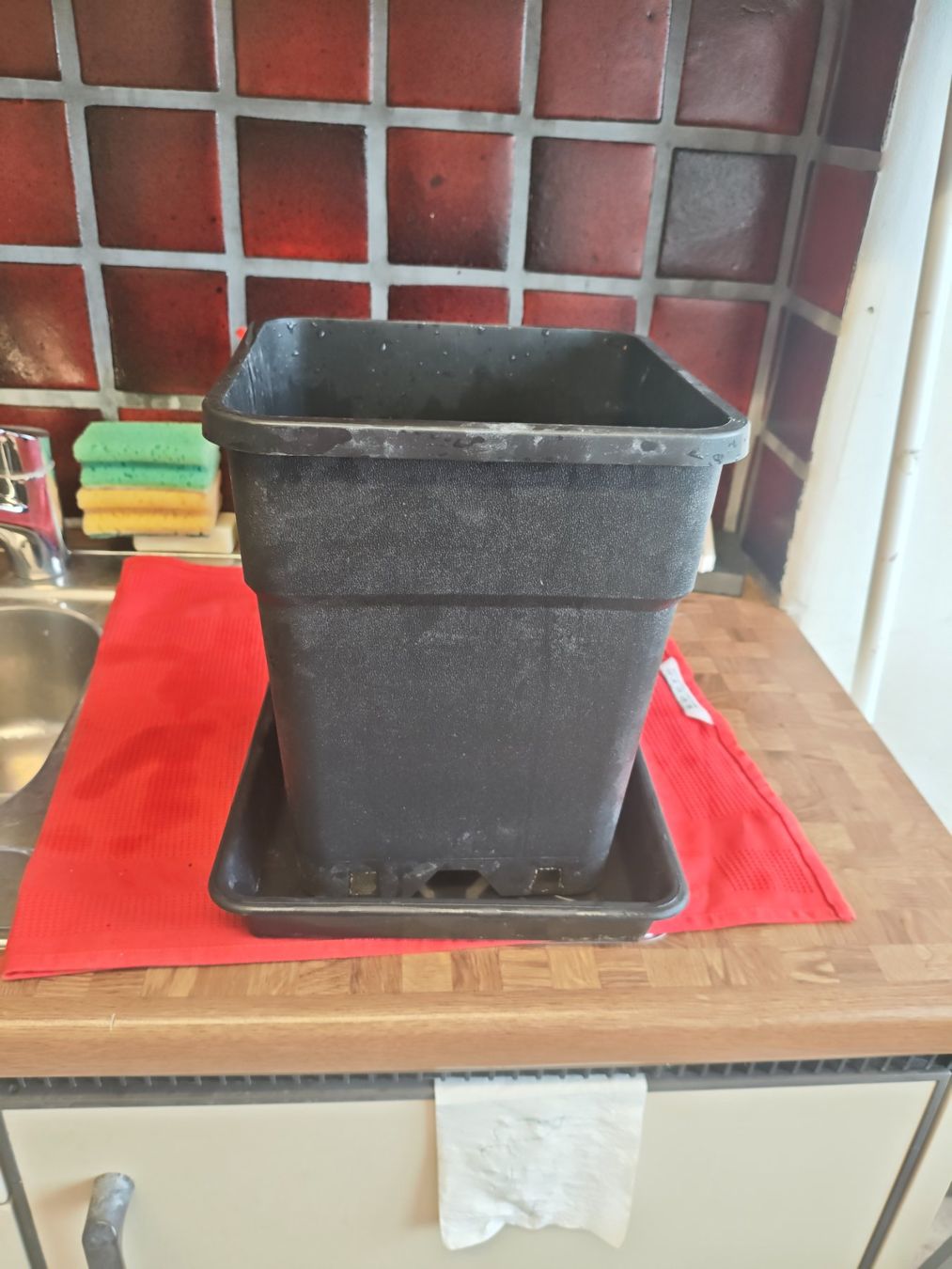 Vasi per fiori: Quadratischer Kunststoff-Pflanztopf 24cm – Usato da Dübendorf venduto da tho_v2cs 3