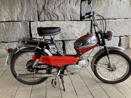 Mofa Sachs