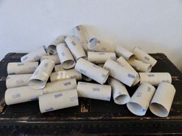 30 Kartonröhrli WC-Rollen zum Basteln Bastelmaterial