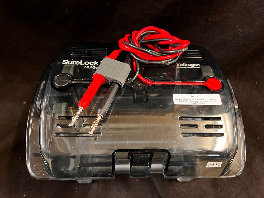 Thermo Fisher invitrogen SureLock Tandem Midi Gel Tank Kaufen auf Ricardo