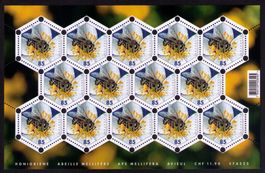 2011_1383_HONIGBIENE_NATUR_INSEKTEN_IMKEREI__Bogen ! **