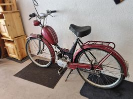 Seltenes Meister-Mofa aus den 1950er-Jahren