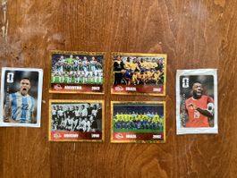 Panini FWC 2026