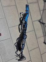 Longiergurt Voltigiergurt blau schwarz, Steigbügeln, Decke