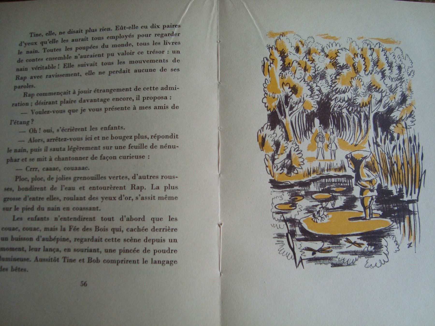 Libri: Les trésors du nain Rap – Usato da Fribourg venduto da ruswil007 1