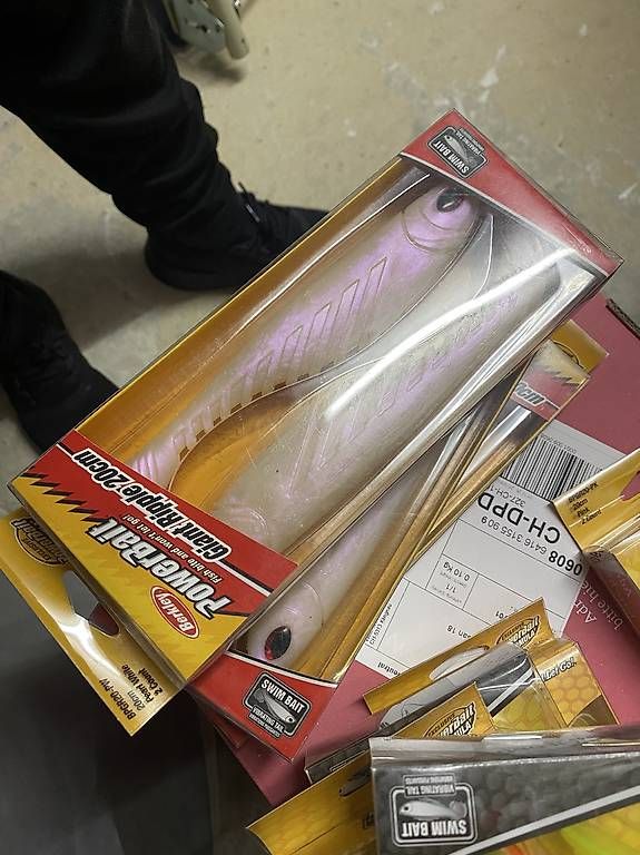Esche: Berkley Ripple shad 20cm – Usato da Preverenges venduto da Jojoa35 1