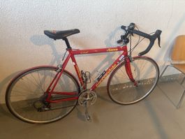 Rotes Cannondale Velo: Saeco Cad XT 105 Shimano Rennrad 🚲
