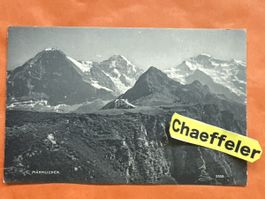 Männdlichen vintage Postkarte, ungelaufen