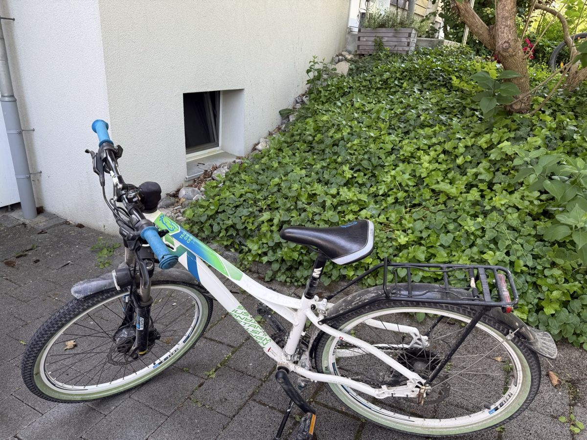 Biciclette: Mountainbike  – Usato da Kaufdorf venduto da nadine_bufe 1