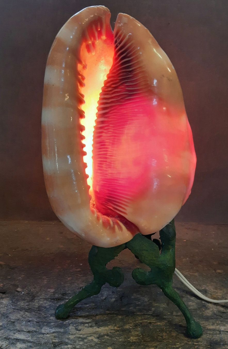 Lampen: Antike mediterrane Muschel Lampe – Gebraucht aus Arbon von torso444 5