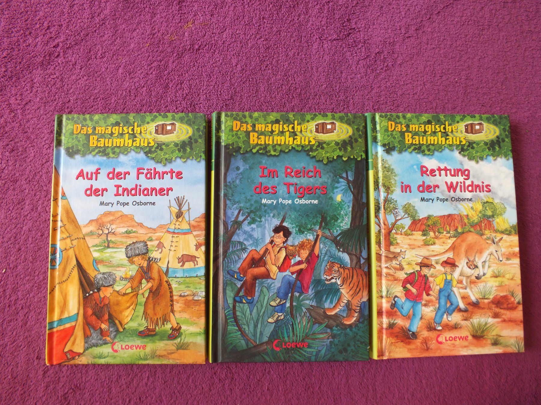 Livres: Das magische Baumhaus 3er Bücher Set – D'occasion à Müllheim Dorf par Seeeule01