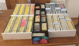 Pokemon gemischte Sets| Bulk Lots a 50 Karten | ENGLISCH