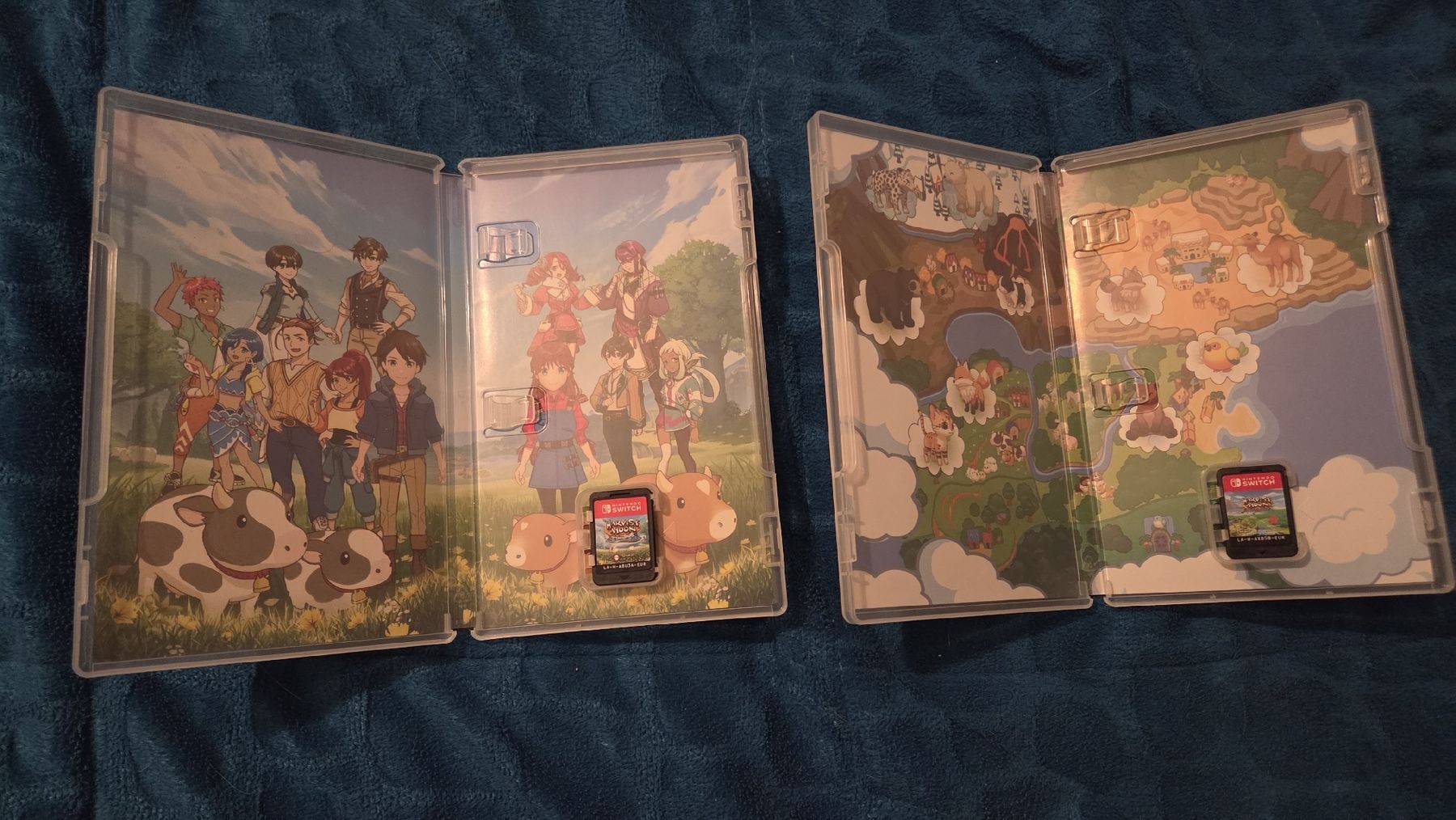 Nintendo Jeux: Harvest Moon Doppel Pack(Abholung) – D'occasion à Luzern par Selina030 1