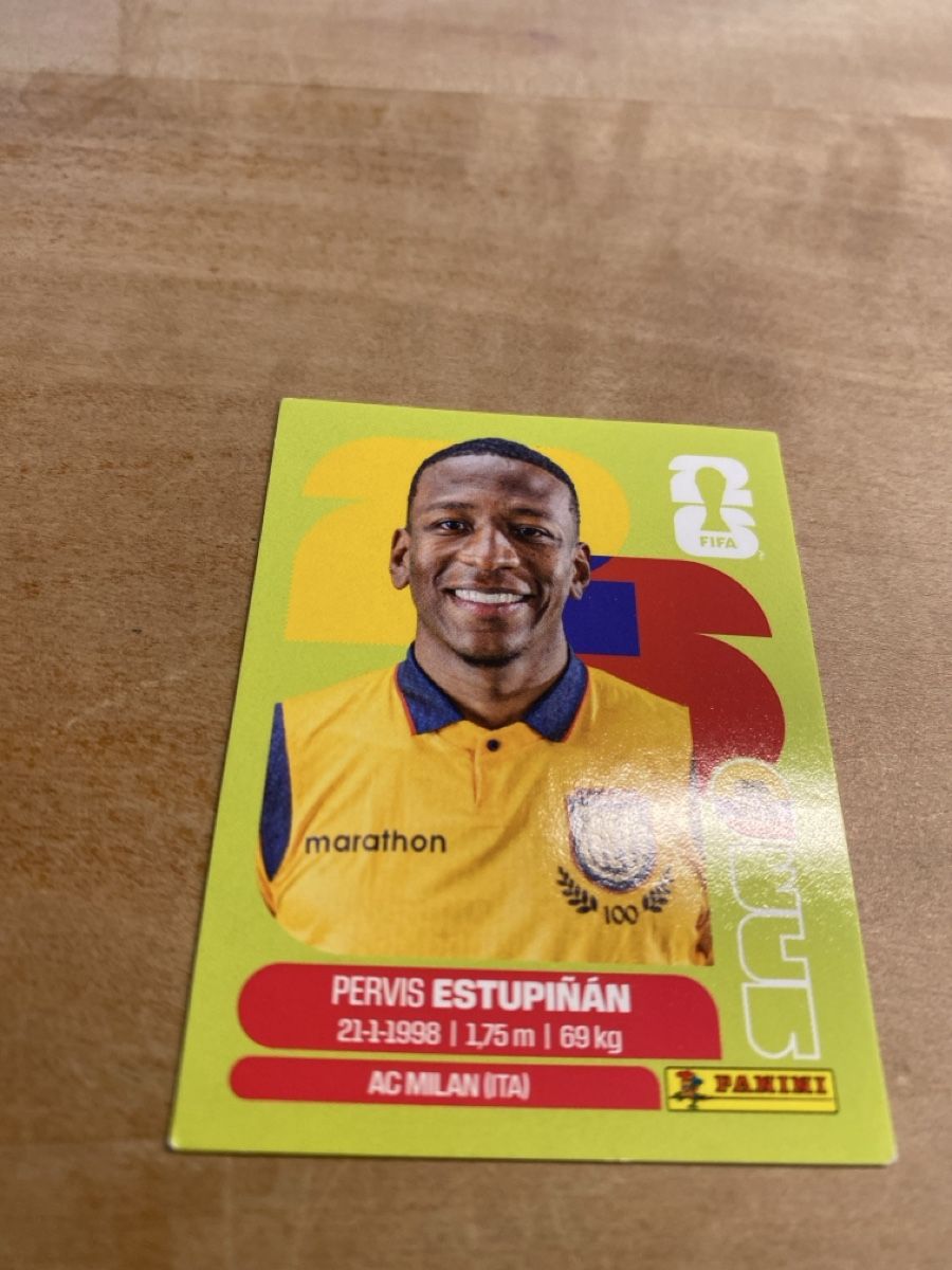 Panini Cartes à collectionner: Panini ECU 5 – D'occasion à schafisheim par soni13