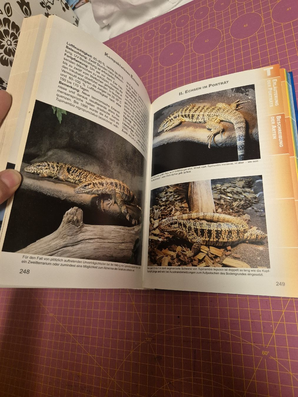 Libri: Buch Kompaktwissen Echsen- Terraristik – Usato da Wynigen venduto da La_Talpa 3
