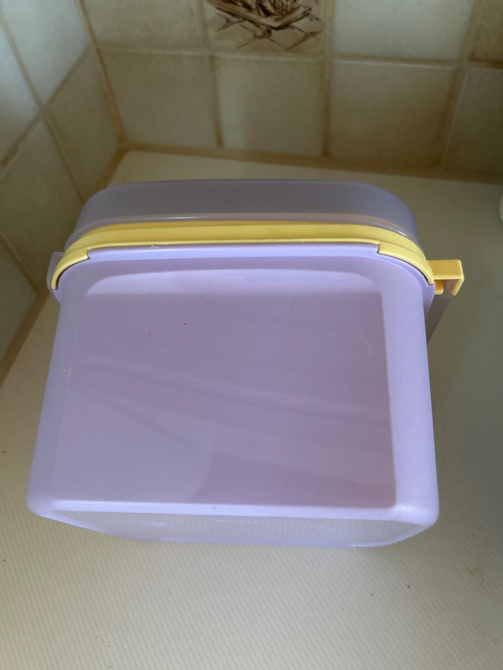 Tupperware Behälter & Ähnliches: Tupperware Dose, Farbe lila – Neu (gemäss Beschreibung) aus Villnachern von RicardoMary 1