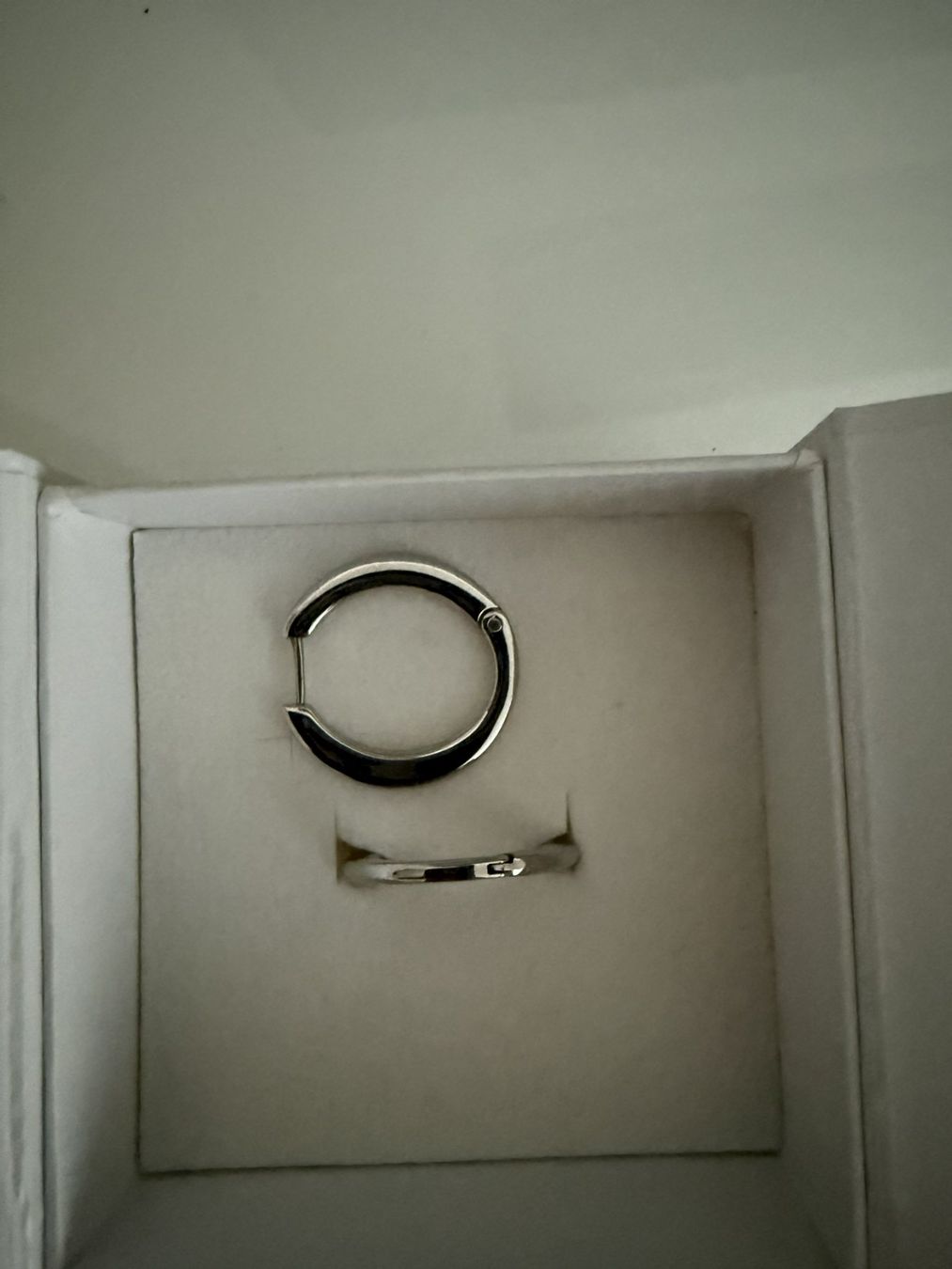 Skagen Orecchini pendenti & Orecchini a lobo: Skagen Creolen / neu – Nuovo e nell'imballaggio originale da Luzern venduto da adri-9