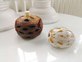 🤩BANKSIA ÄTHERISCHER ÖL DIFFUSER AUS AUSTRALIEN RAR
