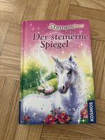 Sternenschweif: Der steinerne Spiegel