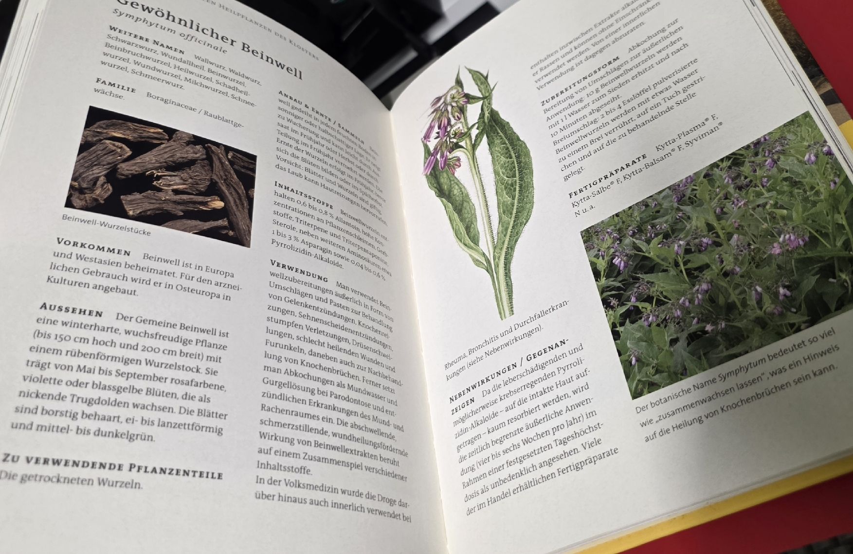 Libri: Heilkraft aus dem Klostergarten - Kosmos - BUCH – Usato da Reinach BL venduto da _MasterK_ 3
