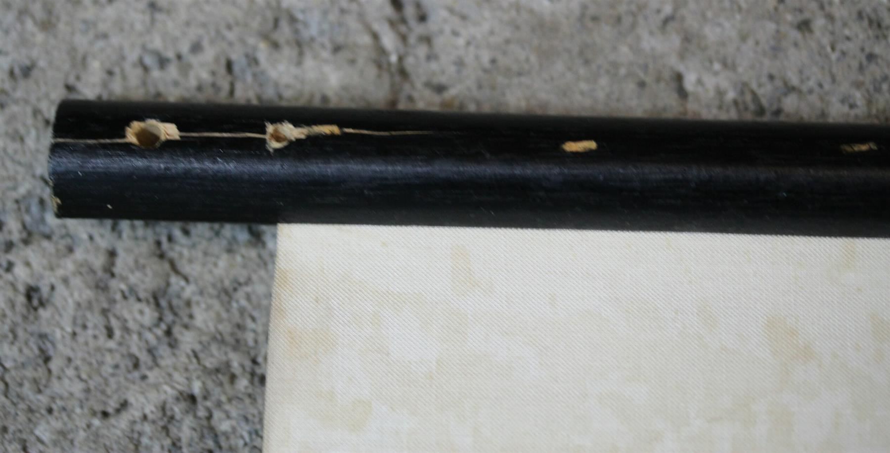 Foto & Immagini: Schulwandbild, Lehrtafel, Schwein, Ratte – Usato da Birrwil venduto da brandschatz_birrwil 9