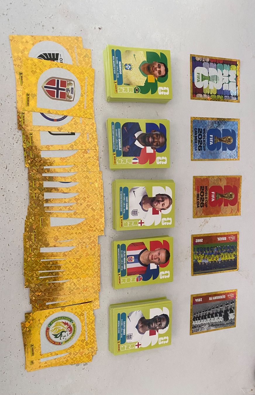 Panini Carte collezionabili: 300 Panini Sticker darin enthalten 46 Wappen – Usato da Zürich venduto da yac_85p8