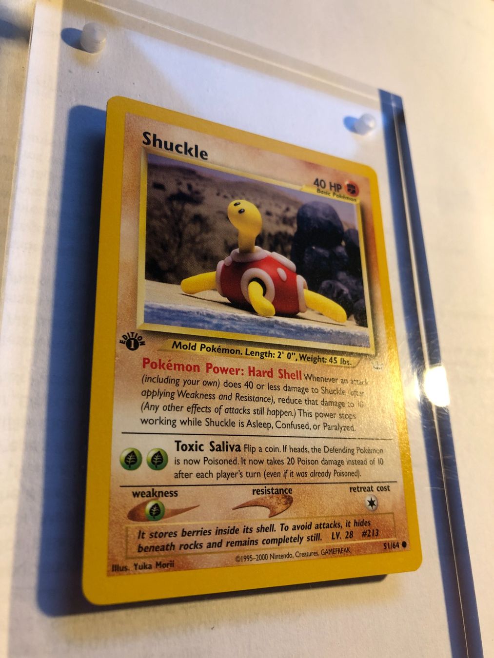 Cartes à collectionner: Shuckle 1st Neo Revelation - MINT - ab 1.- – D'occasion à Giubiasco par dan_pr8b 1