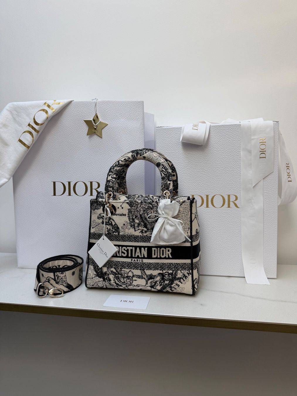 Dior Sacs femmes: NEW Lady Dior D-Lite Tasche – Neuf avec emballage d'origine à Vacallo par kellyyy
