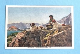 Gotthard Hospiz - Bernhardiner - Fest. Art Cp 7 - Feldpost