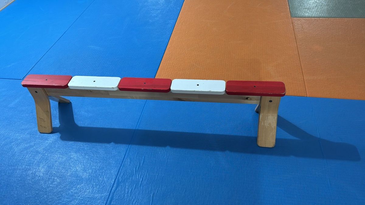 Hometrainer: Balancierbank – Usato da zufikon venduto da Jacky.N