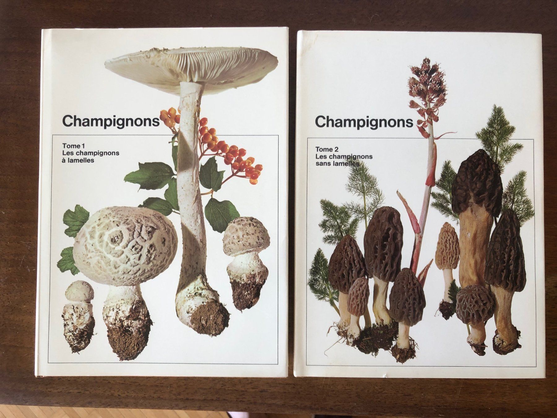 Bücher: Champignons - 2 volumes – Gebraucht aus Haute-Nendaz von photoksar