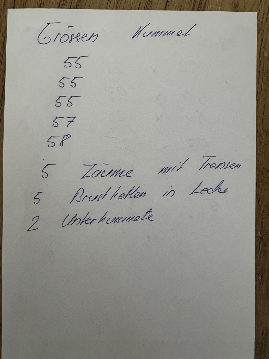 Zaumzeug & Halfter: Fünfspänner Bündnergeschirre – Gebraucht aus Zeiningen von Nikita099 6