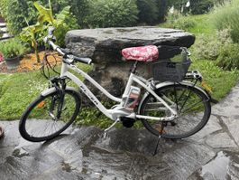 Gebrauchtes Flyer E-Bike, HS L-Serie, 2012