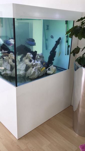 Acquari: 100x100x80 Hochglanz – Nuovo (secondo la descrizione) da Berikon venduto da fischundart 4