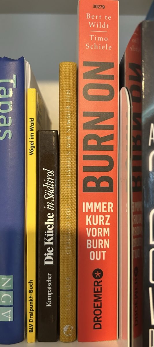 Libri: Burn on - immer kurz vorm burn out – Usato da Arbon venduto da Bobbyx777 2