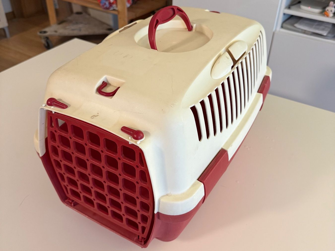 Gabbie, trasporto & Sicurezza: Transportbox – Usato da Olten venduto da jsc_trq6 1