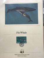 WWF 1983  Palau Finnwal Sonderblatt