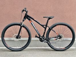 Wheeler  Mountainbike 29 Zoll